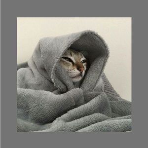 Meet your Posher, Tia